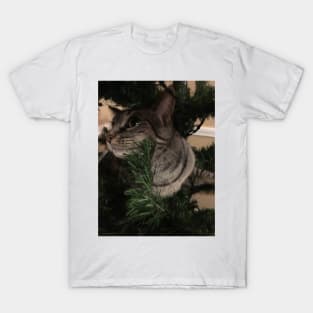 Kitty Up a Tree T-Shirt